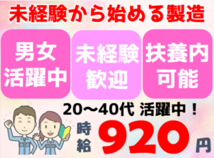 ウェーブクレスト（扶養内）