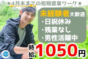 福田興産（2022.9）