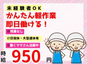 双三光学塗装①