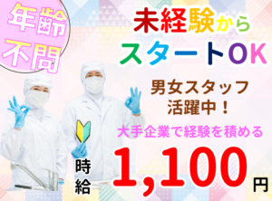 日本全薬工業(調剤)