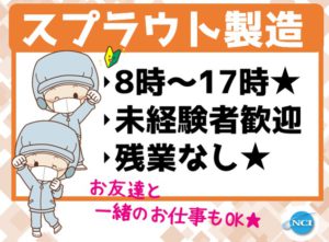 サラダコスモ（スプラウト）
