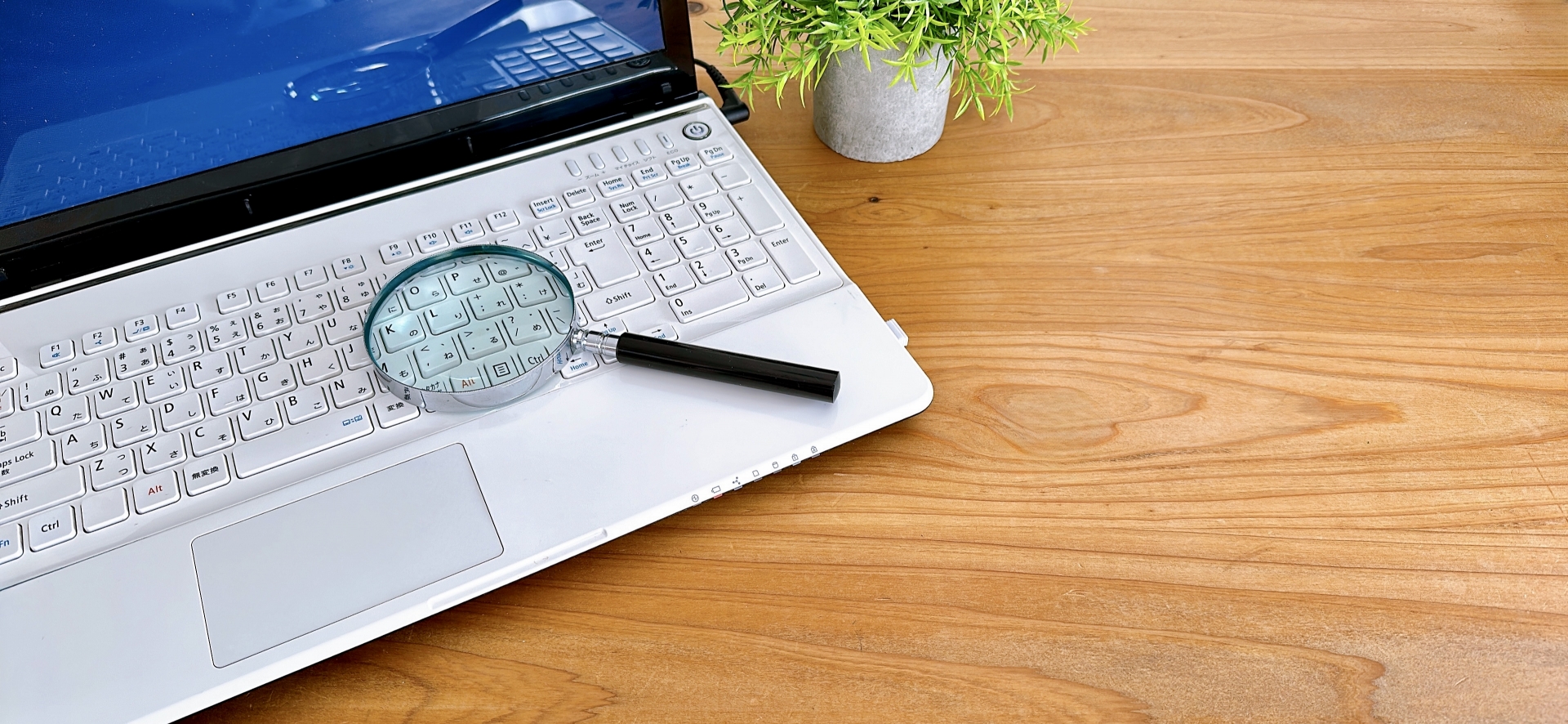 【長岡市・上越市】派遣会社が調べた地域別・人気求人とその特徴